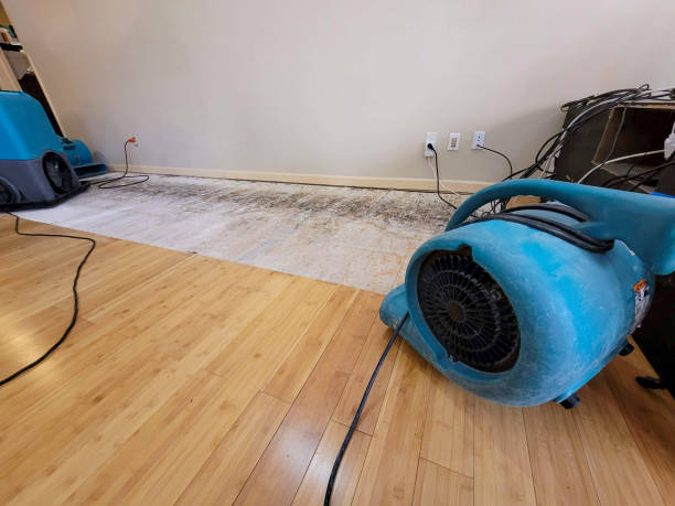 Professional Emergency Water Damage technician working in Randolph, NJ